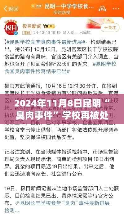 昆明臭肉事件后学校遭罚背后的科技新星,智能监管系统革新之旅