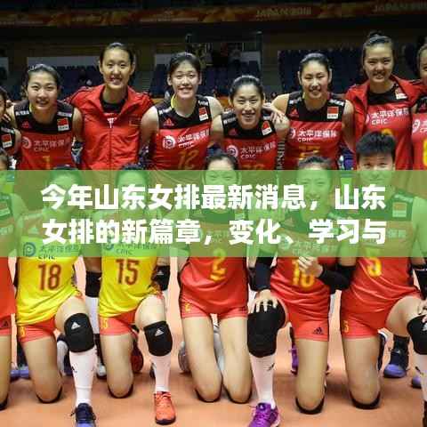 山东女排新篇章,变化、学习与自信铸就的荣耀之路