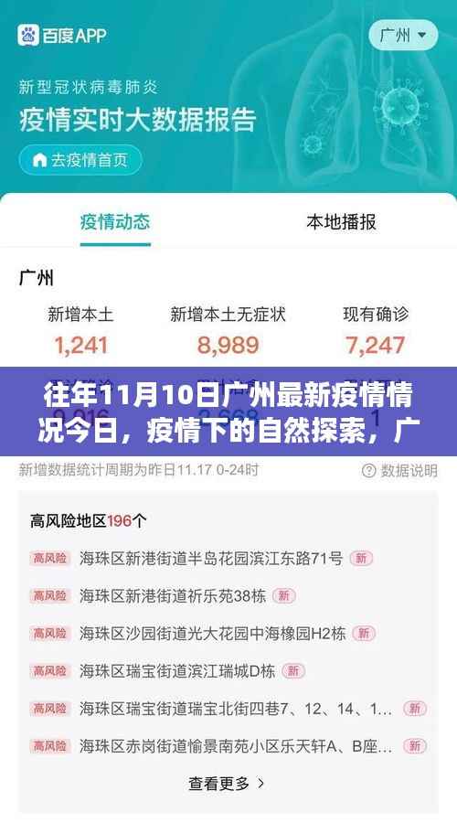 往年11月10日广州疫情更新，疫情下的自然探索与宁静美景之旅