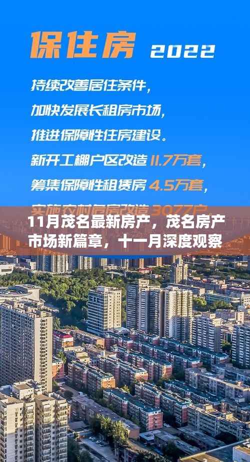 茂名房产市场新篇章,深度观察与影响分析——十一月最新动态与趋势分析