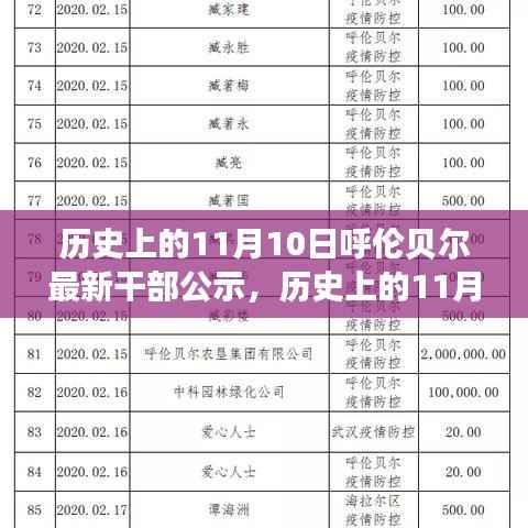 呼伦贝尔干部公示背后的故事,历史上的重要时刻揭秘