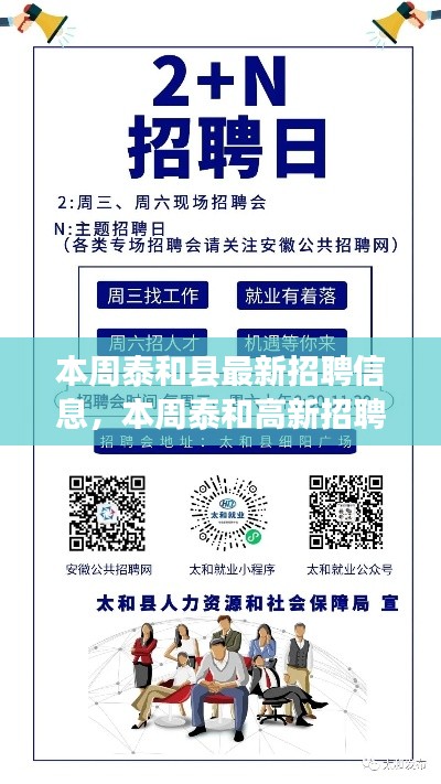 本周泰和高新招聘信息更新,职场机遇与挑战揭秘