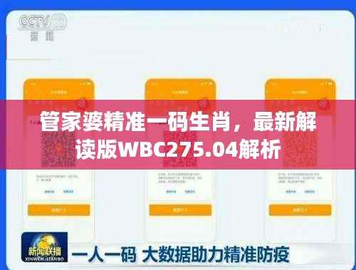 管家婆精准一码生肖,最新解读版WBC275.04解析