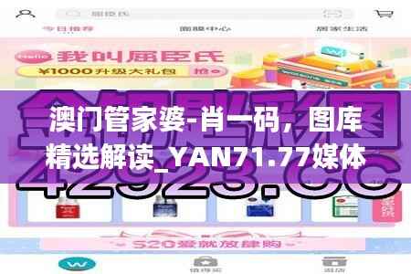 澳门管家婆-肖一码，图库精选解读_YAN71.77媒体版