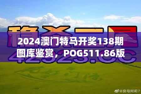 2024澳门特马开奖138期图库鉴赏,POG511.86版深度解析