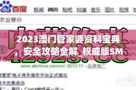 2023澳门管家婆资料宝典，安全攻略全解_权威版SMU670.27