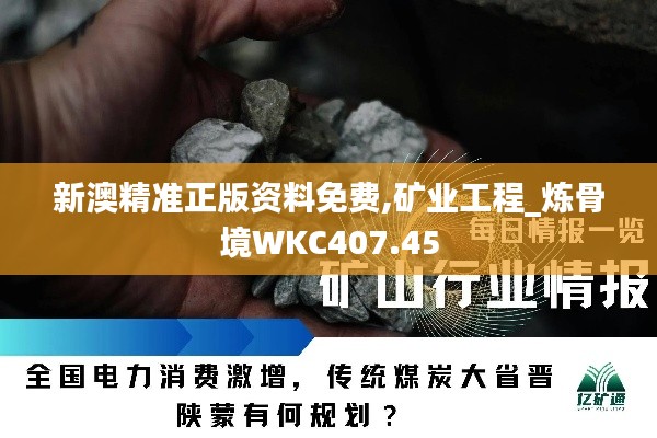 新澳精准正版资料免费,矿业工程_炼骨境WKC407.45