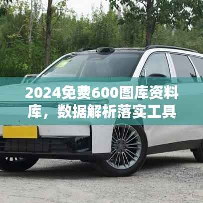 2024免费600图库资料库,数据解析落实工具TDV353.14版