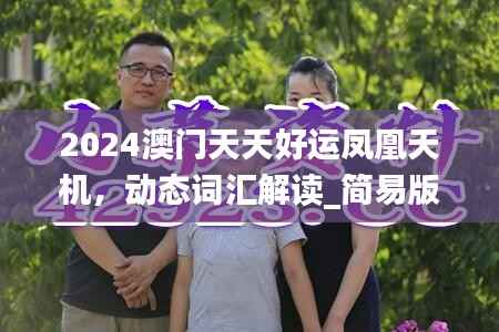 2024澳门天天好运凤凰天机,动态词汇解读_简易版RGV5.88