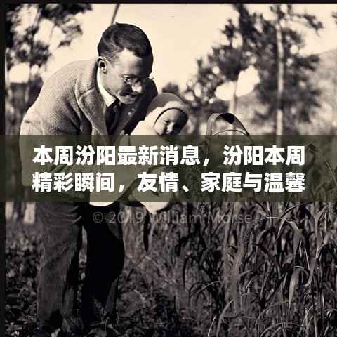 汾阳本周精彩瞬间,友情、家庭与温馨的日常生活