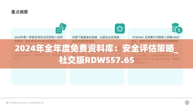 2024年全年度免费资料库:安全评估策略_社交版RDW557.65