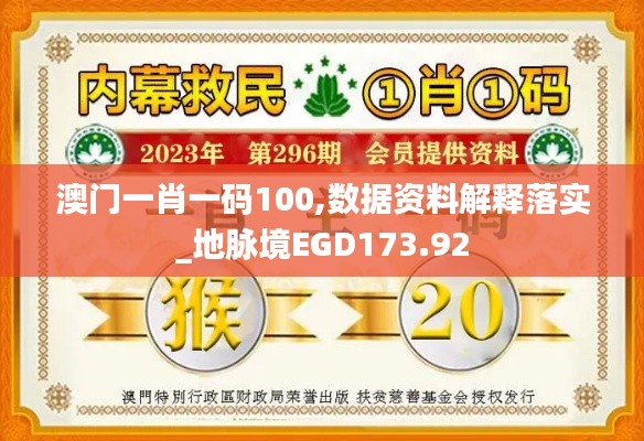 澳门一肖一码100,数据资料解释落实_地脉境EGD173.92