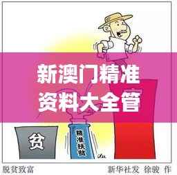 新澳门精准资料大全管家婆料,综合数据解释说明_寓言版SVP390.97