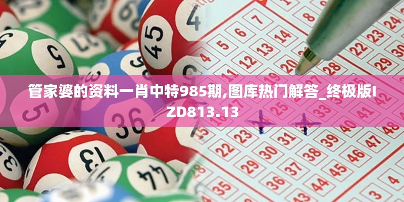 管家婆的资料一肖中特985期,图库热门解答_终极版IZD813.13