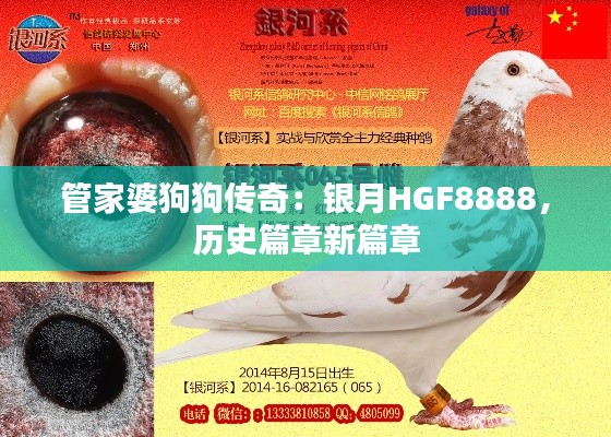 管家婆狗狗传奇:银月HGF8888,历史篇章新篇章