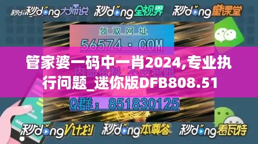 管家婆一码中一肖2024,专业执行问题_迷你版DFB808.51