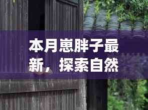 本月胖子旅行家,探索自然美景之旅