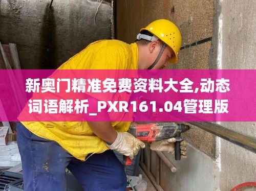 新奥门精准免费资料大全,动态词语解析_PXR161.04管理版