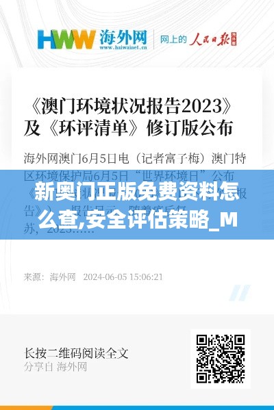 新奥门正版免费资料怎么查,安全评估策略_MUS375.28仙神境