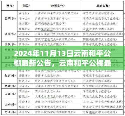 云南和平公棚最新公告发布，多元观点探析与解读