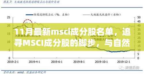 最新MSCI成分股名单揭秘,与自然美景共舞的心灵之旅