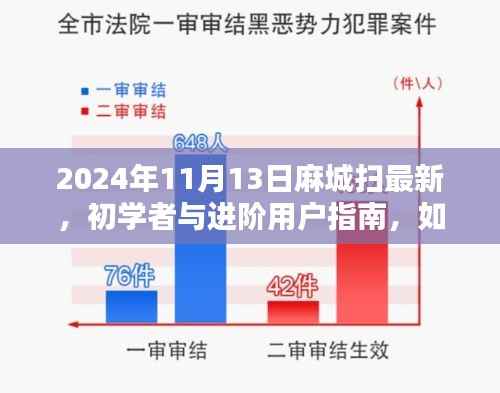 麻城扫最新技能指南,初学者与进阶用户如何掌握