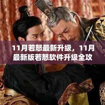 零基础步步为营,11月最新版若怒软件升级全攻略