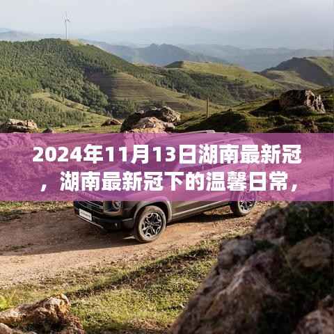 湖南最新冠下的温馨日常,友情、勇气与爱的故事(2024年11月13日)