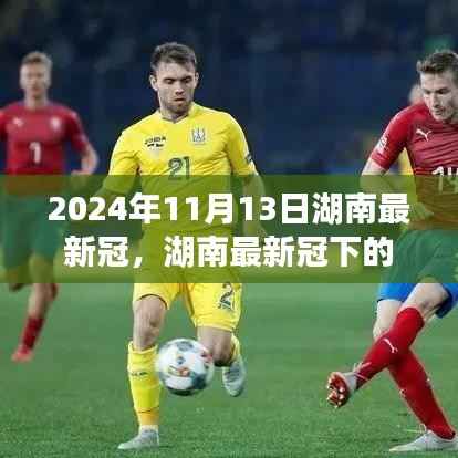 湖南最新冠下的温馨日常,友情、勇气与爱的故事(2024年11月13日)