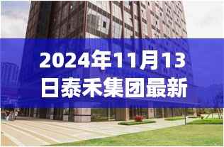 泰禾集团最新动态,创新战略引领未来发展之路(2024年11月13日)