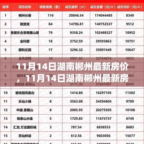 11月14日湖南郴州最新房价分析与展望