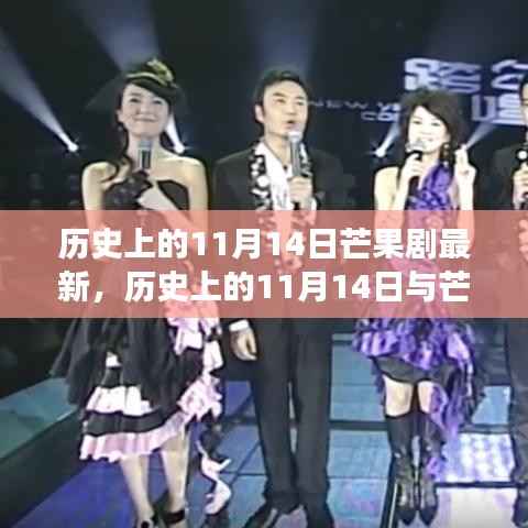 历史上的11月14日,芒果剧最新动态及其背后的价值变迁探究