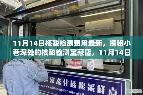 探秘核酸检测宝藏店,揭秘最新核酸检测费用新鲜事(11月14日更新)