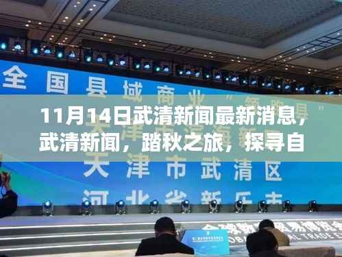 武清新闻最新消息,踏秋探寻自然秘境,心灵之旅启程