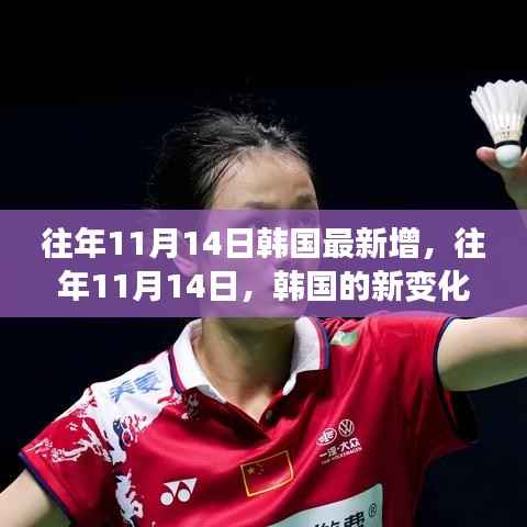 韩国成长之路,历年11月14日的新变化概览