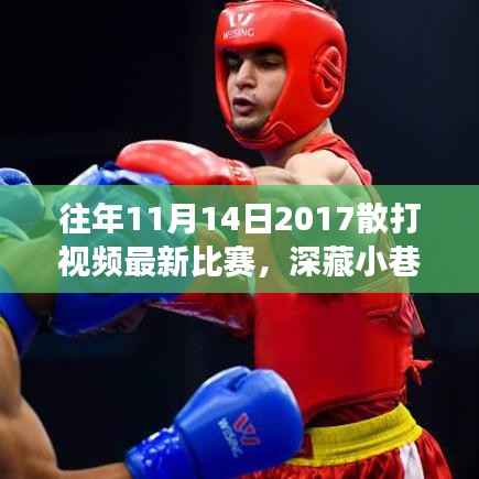 揭秘深藏小巷的独特小店,往年散打比赛的激情重现与神秘角落探索(2017年11月14日最新比赛视频)