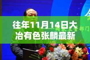 往年11月14日大冶有色张麟的最新消息及其多维度探讨