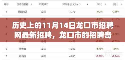 龙口市招聘奇遇,最新招聘信息一网打尽,温馨求职之旅启程于11月14日