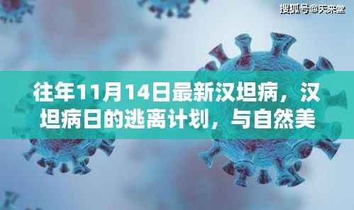 汉坦病日的逃离计划,与自然美景的紧密连结与应对策略