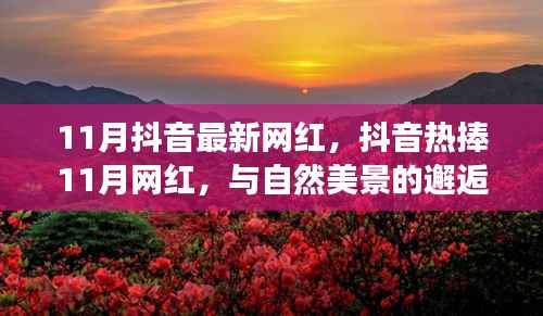 抖音热捧的11月网红，与自然美景的邂逅与内心宁静之旅