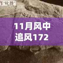 揭秘,风中追风最新装备的时代地位与影响,逐风而行,价值高达172万装备重磅登场!
