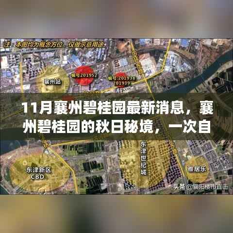 星星打烊 第20页