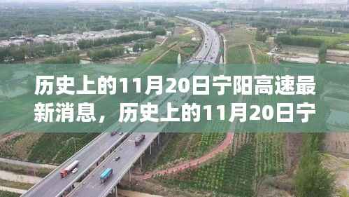 历史上的11月20日宁阳高速最新进展全面解读与最新消息揭秘