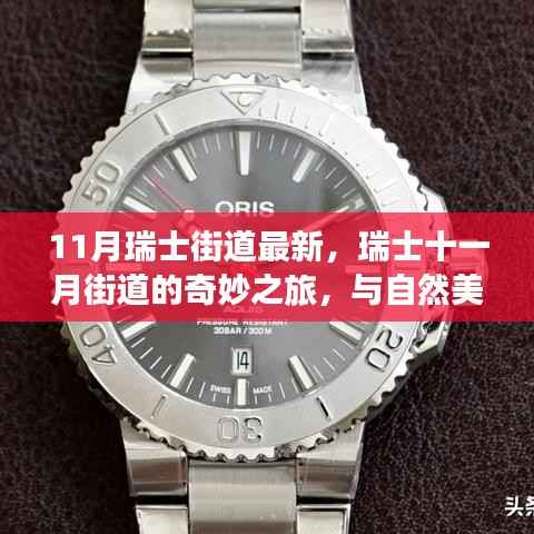 瑞士十一月街道的奇妙之旅,与自然美景的邂逅