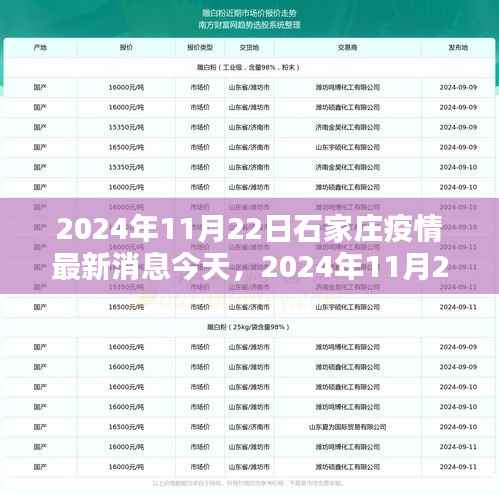2024年11月22日石家庄疫情最新消息与今日概况