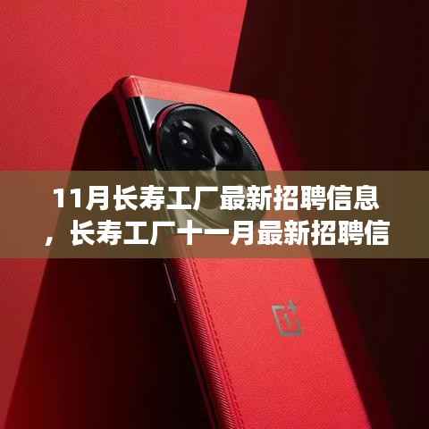 11月长寿工厂最新招聘信息详解,如何顺利应聘长寿工厂并提升竞争力?