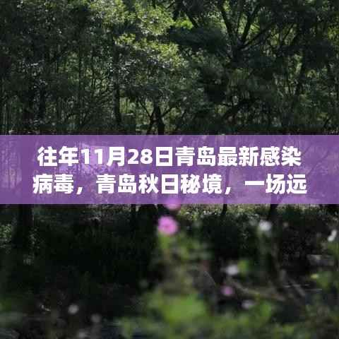 青岛秋日秘境,病毒之外的绿色探险之旅