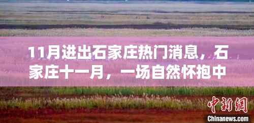 石家庄十一月，自然怀抱中的心灵之旅，进出热门消息