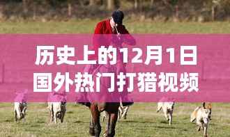 十二月一日国外打猎视频,历史视角下的文化解读与争议