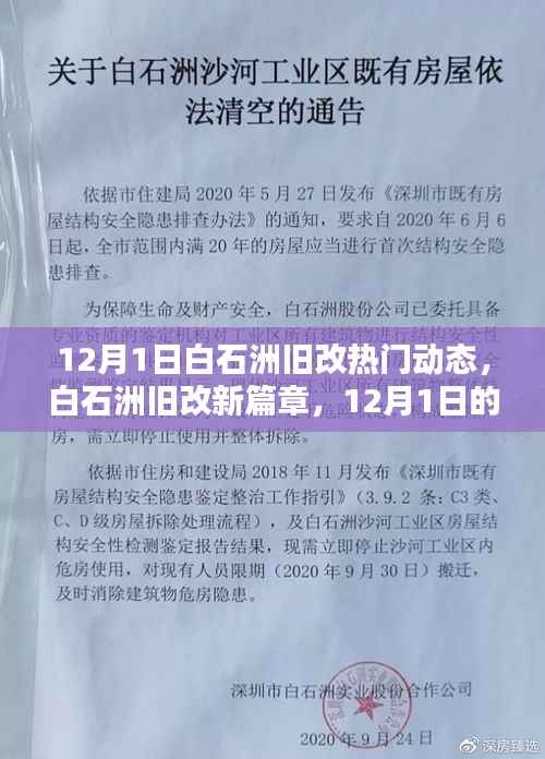 白石洲旧改新篇章,12月1日的日常与友情印记,热议动态揭秘